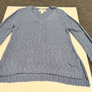 Workshop Republic Clothing Light Blue V-Neck Sweater